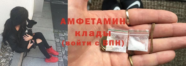индика Балабаново
