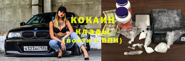 гашик Надым