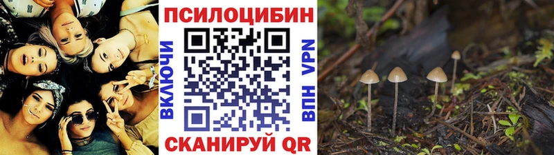 Галлюциногенные грибы мухоморы Олонец
