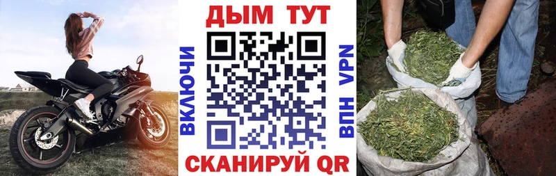 Бошки Шишки White Widow  где купить   Олонец 